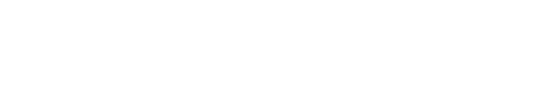 vanlei-logo